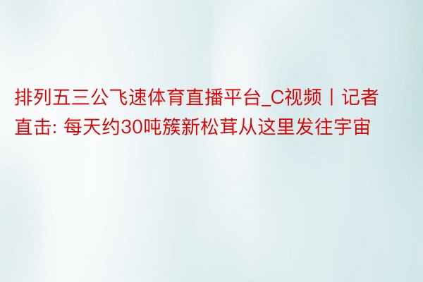 排列五三公飞速体育直播平台_C视频丨记者直击: 每天约30吨簇新松茸从这里发往宇宙