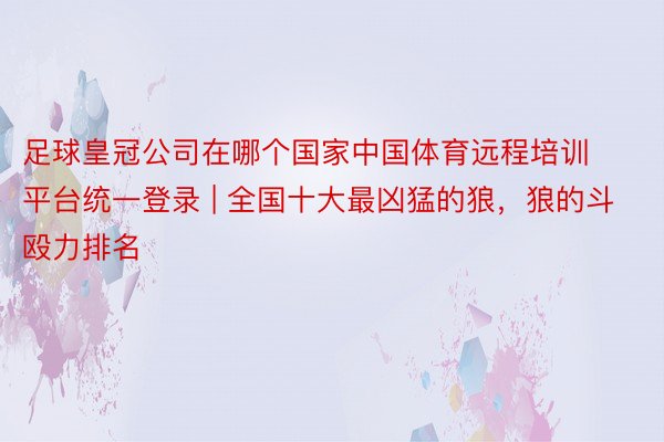 足球皇冠公司在哪个国家中国体育远程培训平台统一登录 | 全国十大最凶猛的狼，狼的斗殴力排名