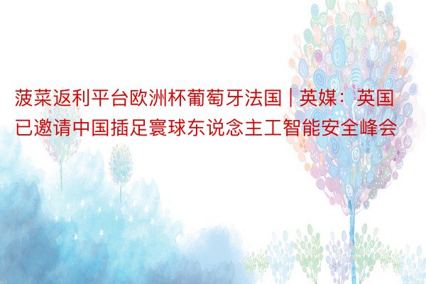 菠菜返利平台欧洲杯葡萄牙法国 | 英媒：英国已邀请中国插足寰球东说念主工智能安全峰会