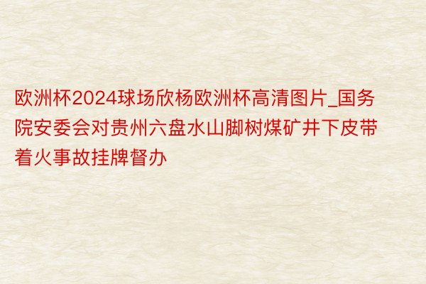 欧洲杯2024球场欣杨欧洲杯高清图片_国务院安委会对贵州六盘水山脚树煤矿井下皮带着火事故挂牌督办
