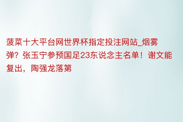 菠菜十大平台网世界杯指定投注网站_烟雾弹？张玉宁参预国足23东说念主名单！谢文能复出，陶强龙落第
